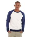 Hollister Backyard Sweatshirt