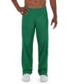 Mithra Warmup Pant-36-Green