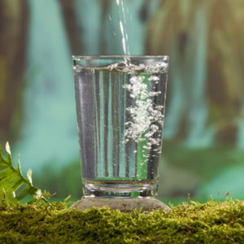 Hoodies & Sweatshirts